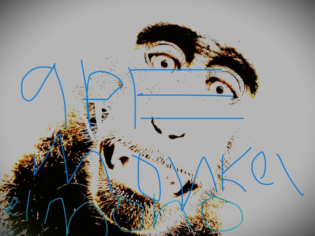 monkey with light on its face